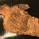 Bit of unpetrified wood skin, with faces.